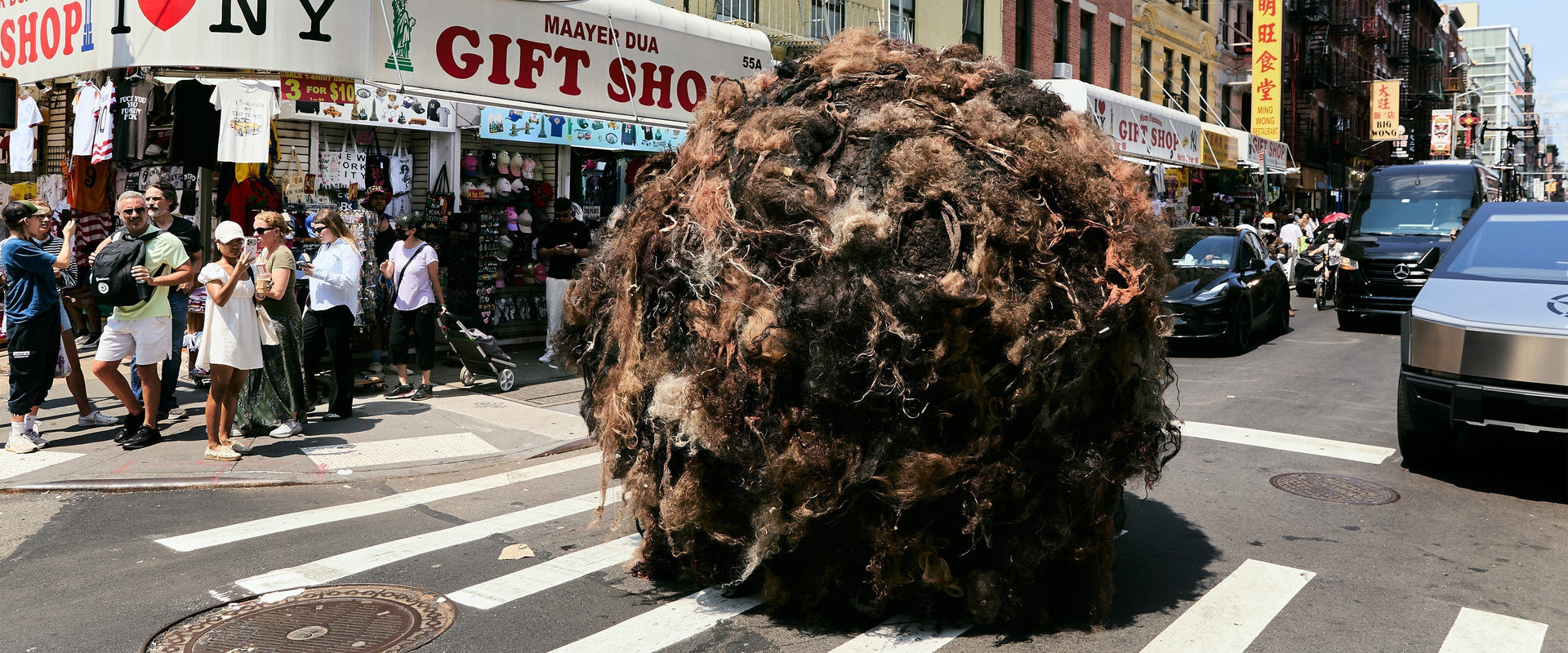 SPOTTED: a giant hairball rolling across NYC