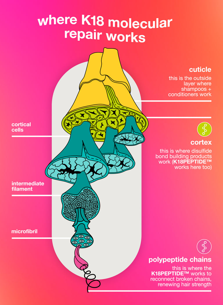 where K18 molecular repair works