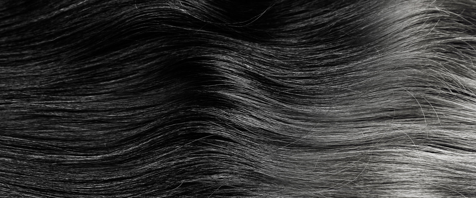 when is gray hair considered premature?