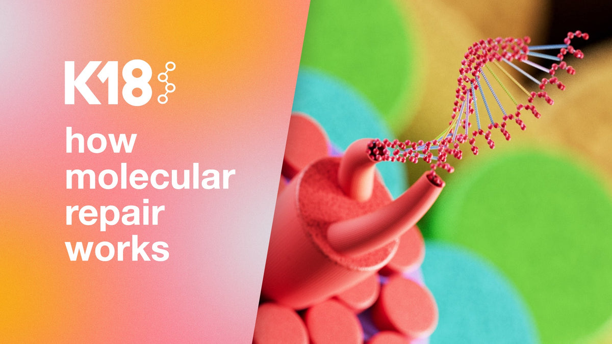 The Science Behind Molecular Repair