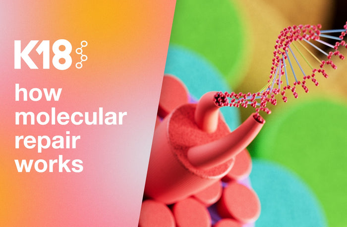 The Science Behind Molecular Repair