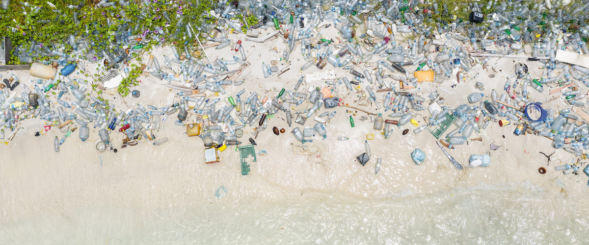 Let’s Clean The Planet, Together