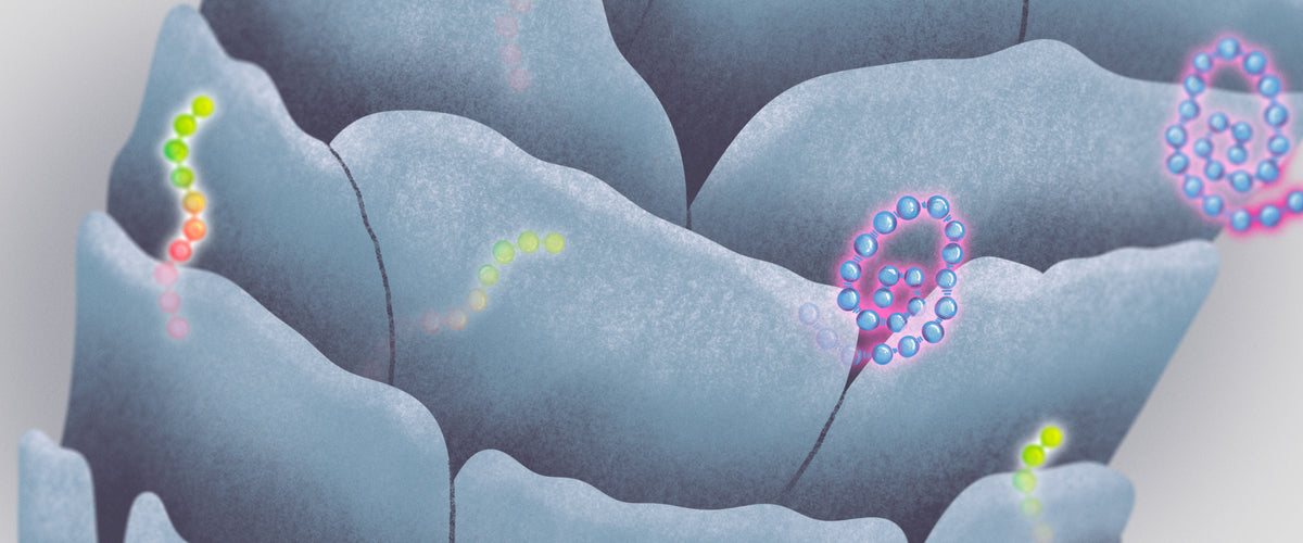 The Discovery Of K18PEPTIDE™ Powering K18REPAIR™