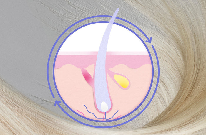 Why Isn’t Your Hair Growing?