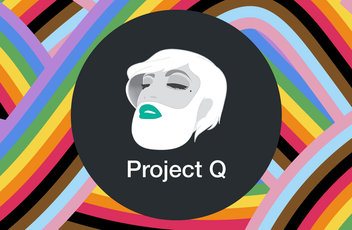 celebrating pride with ProjectQ
