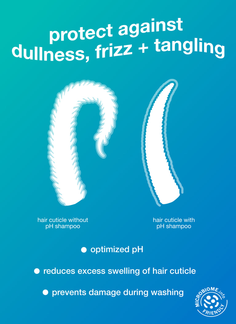 infographic-for-ph-shampoo-with-illustrations-of-hair-cuticles-on-a-blue-background