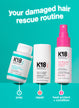 Damaged Hair Rescue Set
