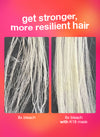 Damaged Hair Rescue Set