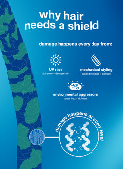 Educational poster about hair care, showing a stylized image of hair and text explaining why hair needs protection.