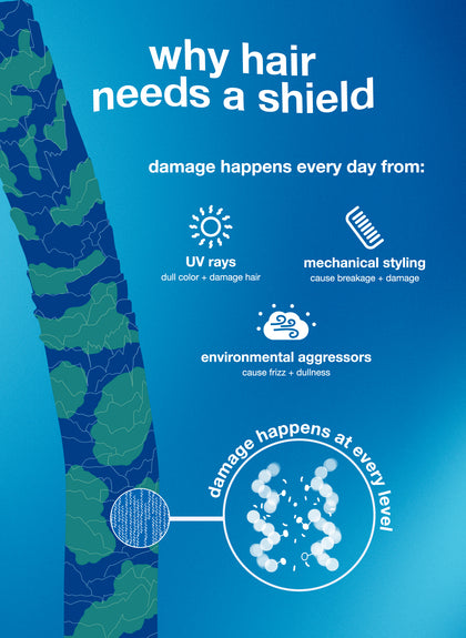 Educational poster about hair care, showing a stylized image of hair and text explaining why hair needs protection.