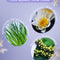 Floral and aquatic elements with text on a purple background