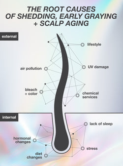 Diagram showing external and internal causes of hair shedding, early graying, and scalp aging.