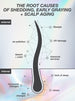 Diagram showing external and internal causes of hair shedding, early graying, and scalp aging.