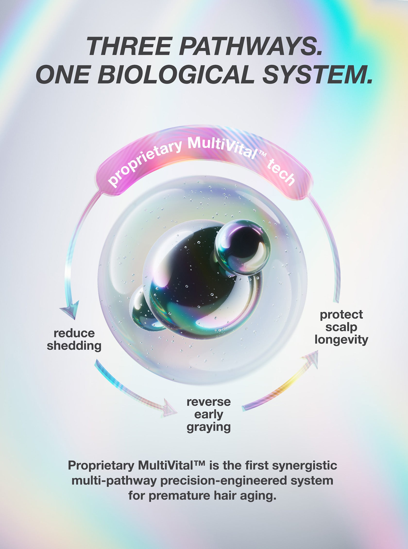 Infographic for a hair care product with a multicolored circular design and text about biological system pathways.